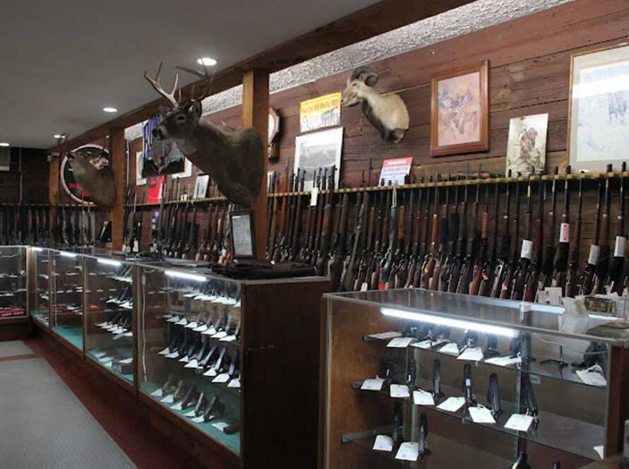 Local Gun Store vs Chain: Comparison