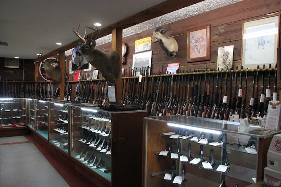 Local Gun Store vs Chain: Comparison