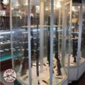 Strange Situations Only Trusted Gun Shops Handle